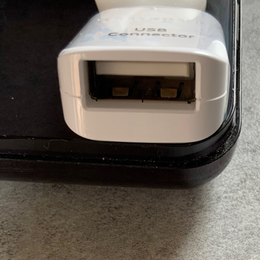 Samsung USB Connector, Ear Bud Covers and carrying Case - Picture 2 of 7